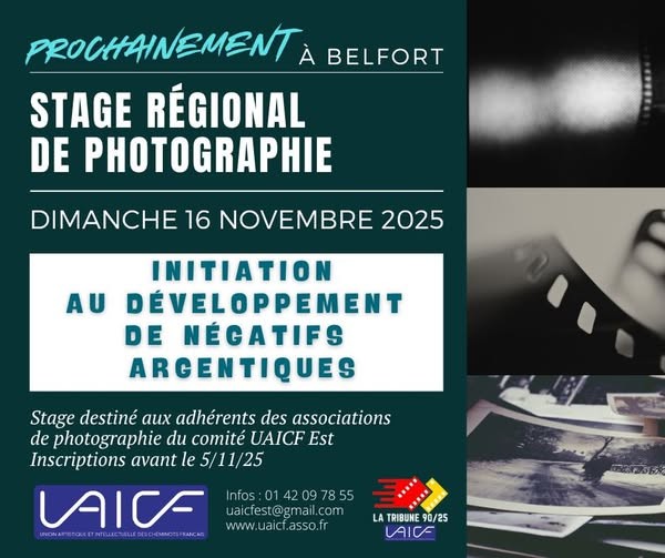 2025 belfort photo
